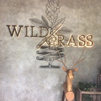 Review Wild Grass