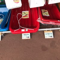 ジョイフルエーケー ペットワールド 江別市 北海道