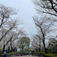 Photo taken at National Diet Library by Nodoka A. on 4/5/2024
