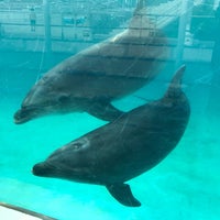 Photo taken at Dolphin Lagoon by asikapon on 8/15/2020