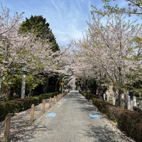 Photo taken at Aoyama Cemetery by 村田 on 4/11/2024