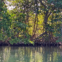 Photo taken at Virginia Key Outdoor Center by Luminoid L. on 1/17/2022