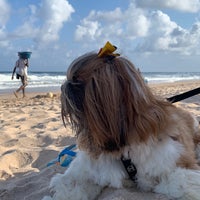 Photo taken at Praia de Ipitanga by Carla S. on 10/13/2019