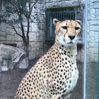 Photo taken at Cheetah by krkr on 6/18/2022