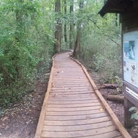 9/26/2020 tarihinde Coskun U.ziyaretçi tarafından Audubon Naturalist Society - Woodend Nature Sanctuary'de çekilen fotoğraf