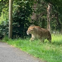 Photo taken at Knowsley Safari by 🧛🏻 on 7/10/2021
