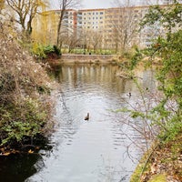 Photo taken at Teich im Ernst-Thählmann-Park by Megan Allison on 2/16/2020