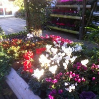 Photo taken at Fulham Palace Garden Centre by Mervyn D. on 11/11/2012