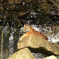 Photo taken at Dartmoor Zoological Park by Pedro on 10/15/2012