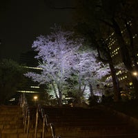 Photo taken at Shinjuku Chuo Park by にゃんた や. on 4/11/2024
