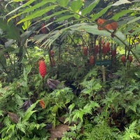 5/1/2022にShelley R.がHawaii Tropical Botanical Gardenで撮った写真
