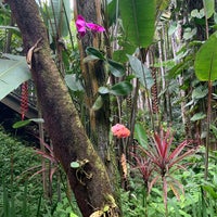 Снимок сделан в Hawaii Tropical Botanical Garden пользователем Shelley R. 5/1/2022