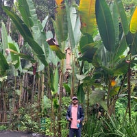 Снимок сделан в Hawaii Tropical Botanical Garden пользователем Shelley R. 5/1/2022