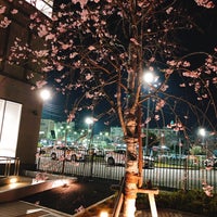 日吉自動車学校 港北区 横浜市 神奈川県 日吉自動車学校 港北区 横浜市 神奈川県