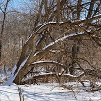 Photo taken at Stephens Lake Park by Kevin C. on 2/20/2021