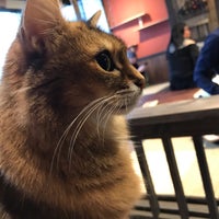 Photo taken at Cat Cafe Calico by えは あ. on 12/15/2019