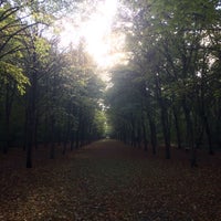 Photo taken at Forêt de Gros-Bois by Li L. on 10/15/2016