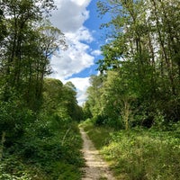 Photo taken at Forêt de Gros-Bois by Li L. on 8/5/2017