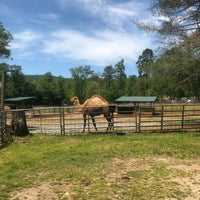 Foto diambil di North Georgia Zoo &amp;amp; Farm/ Wildlife Wonders- Zoo To You oleh Kaley I. pada 5/3/2020
