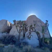 Photo taken at Joshua Tree National Park by Ser g. on 2/14/2022