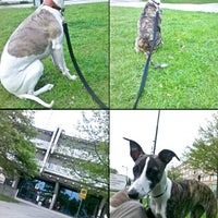 Malmö Polisen - Police Station in Malmö