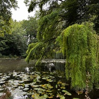 Das Foto wurde bei Botanická záhrada UK von Marja am 8/16/2023 aufgenommen