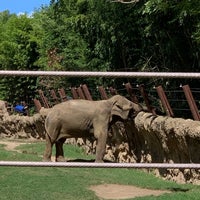 Photo taken at Elephant House by Deb G. on 8/25/2019