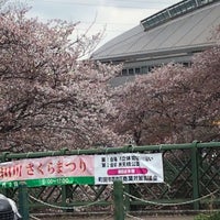 Photo taken at Machida Gymnasium by メーたん(おいでよチバ) on 4/2/2023