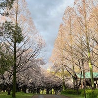 Photo taken at Tsurumiryokuchi Expo &amp;#39;90 Commemorative Park by ＤＩＥ丸 。. on 4/4/2024