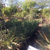 Moon Valley Nursery Surprise Az Photo Taken At Moon Valley Nursery By Jennifer R On 5 2 2016