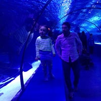 Photo taken at Antalya Aquarium by Nilay D. on 3/13/2016