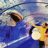 Das Foto wurde bei Antalya Aquarium von Fatih A. am 5/12/2013 aufgenommen