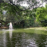 Photo taken at Jardín Botánico Joaquín Antonio Uribe by Flores Para M. on 7/6/2022