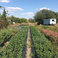 Photo taken at GREEN DECOR Květinová farma by Ondrej B. on 8/16/2018