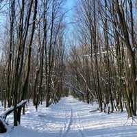Photo taken at Голосіївський ліс by Oleksiy A. on 1/17/2021