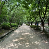 Photo taken at Seoul Forest by SAAD on 7/20/2022