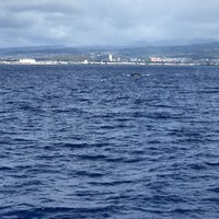 Photo taken at Atlantis Cruises by ナツメグ n. on 2/11/2020