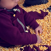 Photo taken at Bengtson&amp;#39;s Pumpkin Farm and Fall Fest by Mayra H. on 9/6/2019