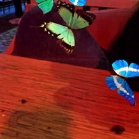 11/29/2020 tarihinde Aysun U.ziyaretçi tarafından Hangover Cafe &amp;amp; Bar'de çekilen fotoğraf