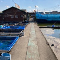 金魚のふる里 やまと錦魚園 郡山金魚資料館 大和郡山市 奈良県