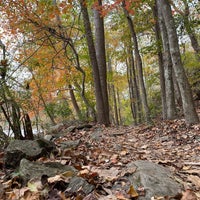 Photo taken at Chattahoochee River - East Palisades Area - National Recreation Area by Tricia H. on 11/7/2020