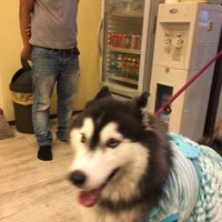 Photo taken at Oasis Pet Hospital &amp;amp; Spa by Boonyaporn F. on 7/7/2016