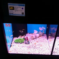 Photos At Chew Thean Yang Aquatic Pet 周天央 Cty Pet Store