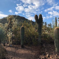Photo taken at Patio Cafe - Desert Botanical Garden by Attila T. on 1/13/2019