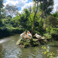 Foto scattata a Singapore Zoo da Hosam K. il 7/5/2023