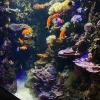 Photo taken at SEA LIFE München by Abdullah on 7/20/2022