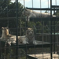 Photo taken at Turpentine Creek Wildlife Refuge by Walter E. on 8/5/2018