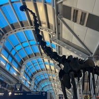 Photo taken at Brachiosaurus Altithorax by Zach C. on 10/26/2022