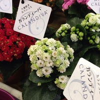 コメリパワー 大牟田店 1 Tip コメリパワー 大牟田店 1 Tip