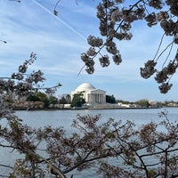 Photo taken at Cherry Blossoms by Kris on 3/31/2024